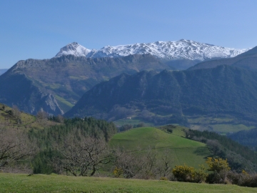 P1270312
