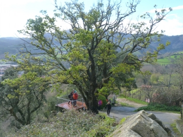 P1270581