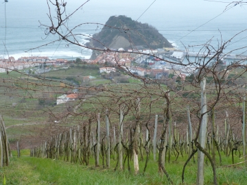 P1270599