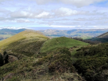 DSC00401