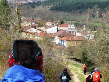 DSC00715