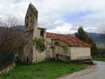 DSC00716
