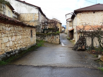 DSC00717