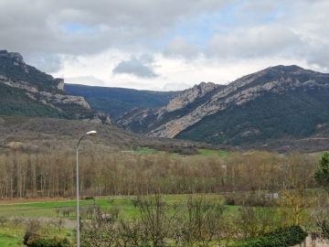 DSC00720