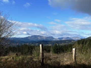DSC00908