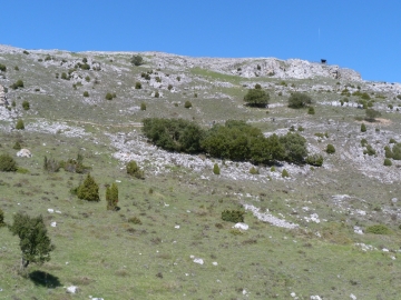 P1280457