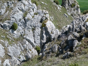 P1280459