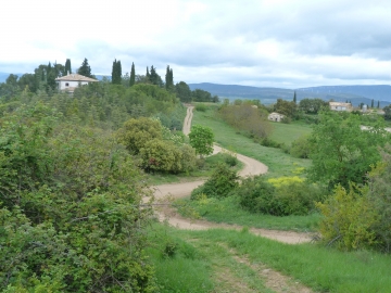 P1280532