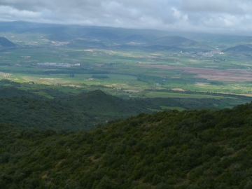 P1280550