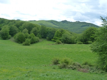 P1290152