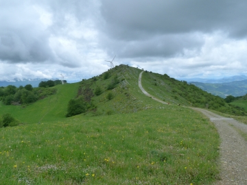 P1290154