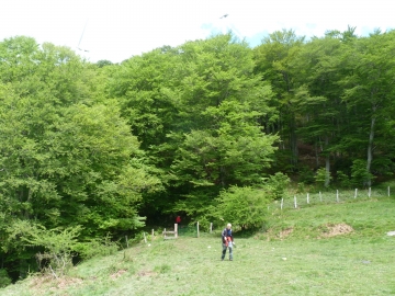 P1290156
