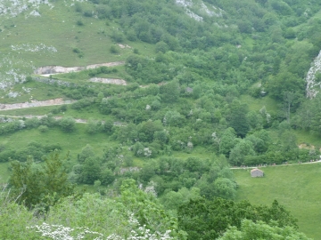 P1290518
