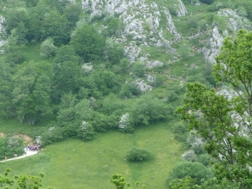 P1290521
