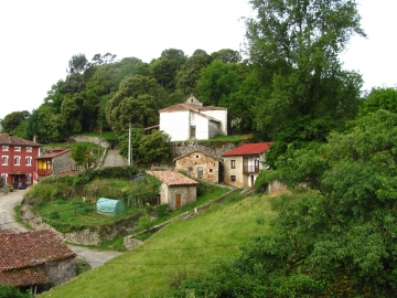 016 Alevia. IMG_0002