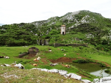 DSC01787
