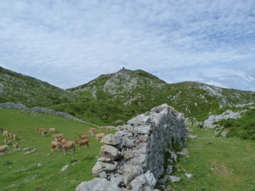 P1290804