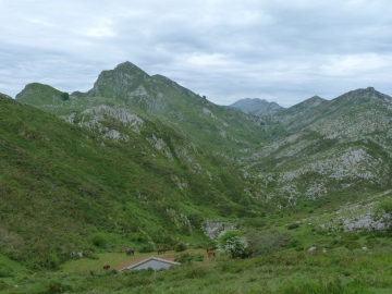 P1290825