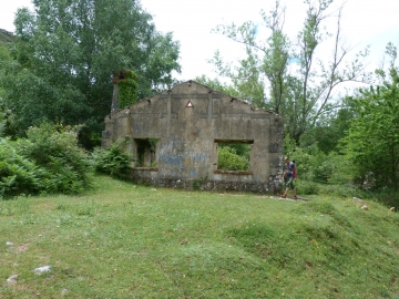 P1290981