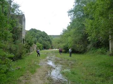 P1290991