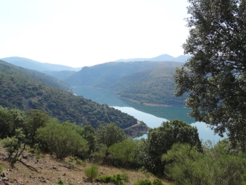 DSC02013