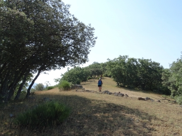 DSC02019