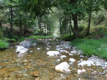 DSC02047