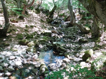 DSC02190