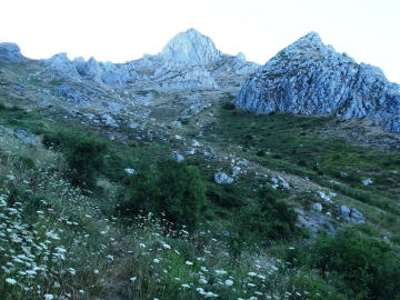 DSC02333