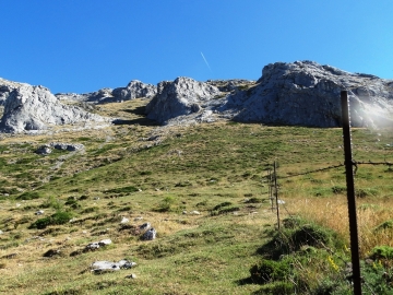 DSC02375