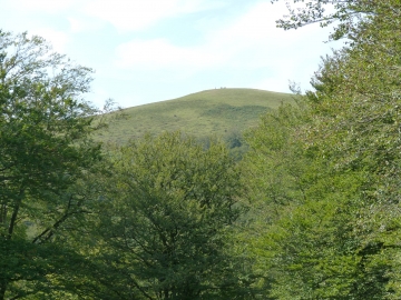 P1300472