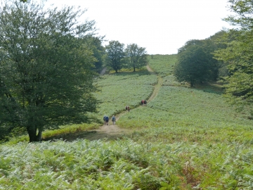 P1300475