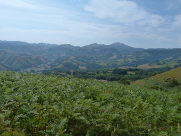 P1300479