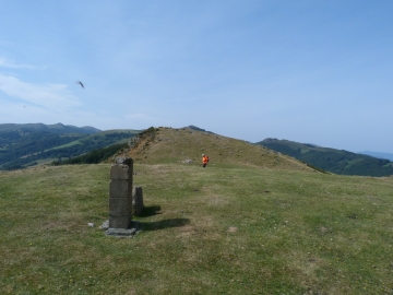 P1300485