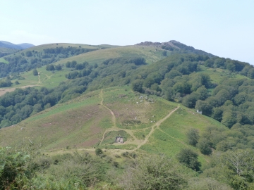 P1300491