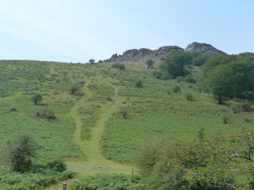 P1300498
