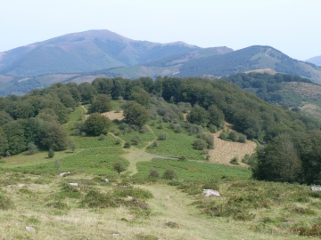 P1300501