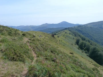 P1300514