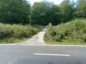 P1300526