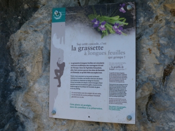P1310358