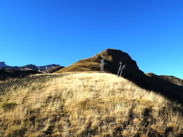 DSC03525