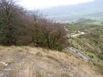 P1310788