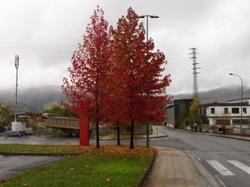 P1070580