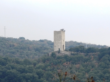 DSC04146