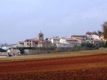 DSC04155
