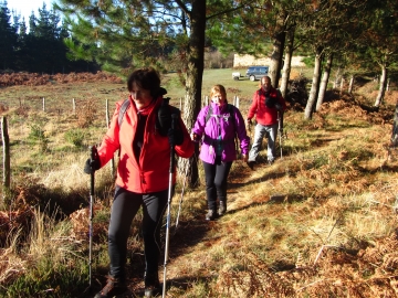 024 Por el sendero. IMG_2064
