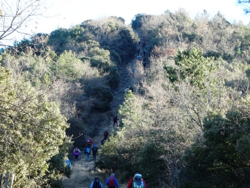 DSC04722