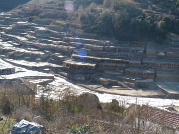 P1320905