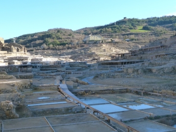P1320915