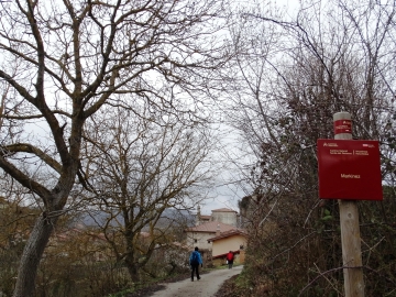DSC04951